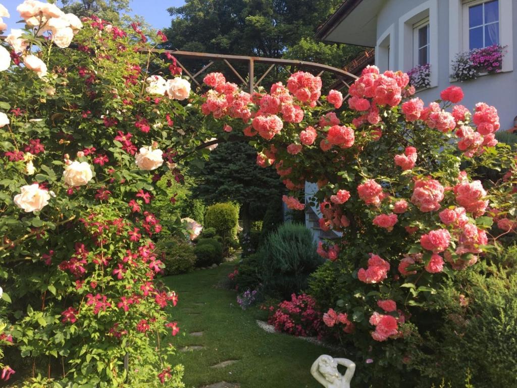 Domek I Apartamenty Zacisze Brenna Buitenkant foto