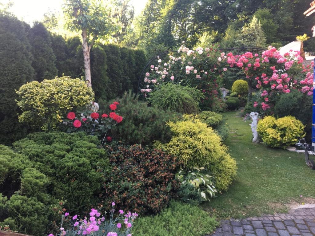 Domek I Apartamenty Zacisze Brenna Buitenkant foto